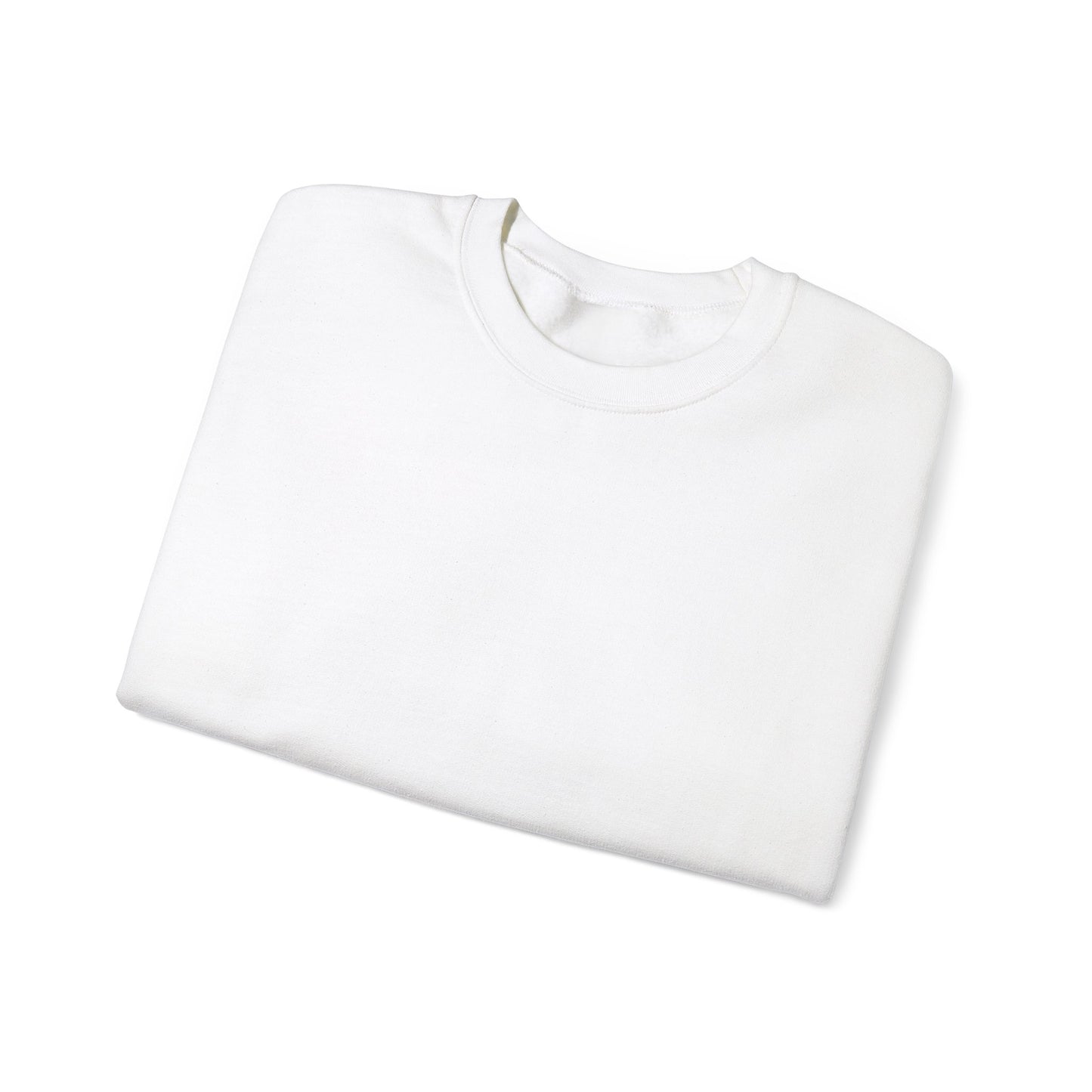 Jeremiah 29:11 Unisex Crewneck