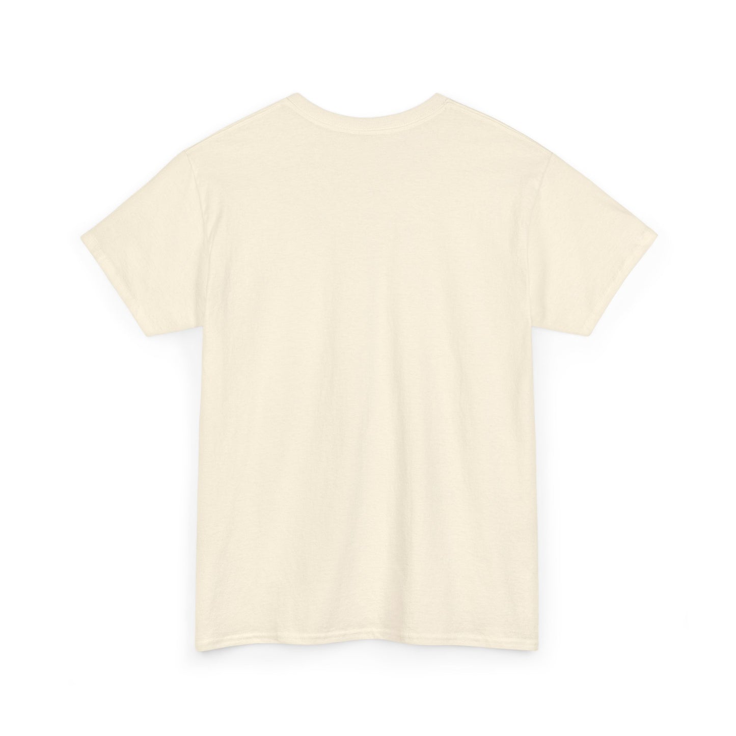 Your Email Will Never Find Me Tee