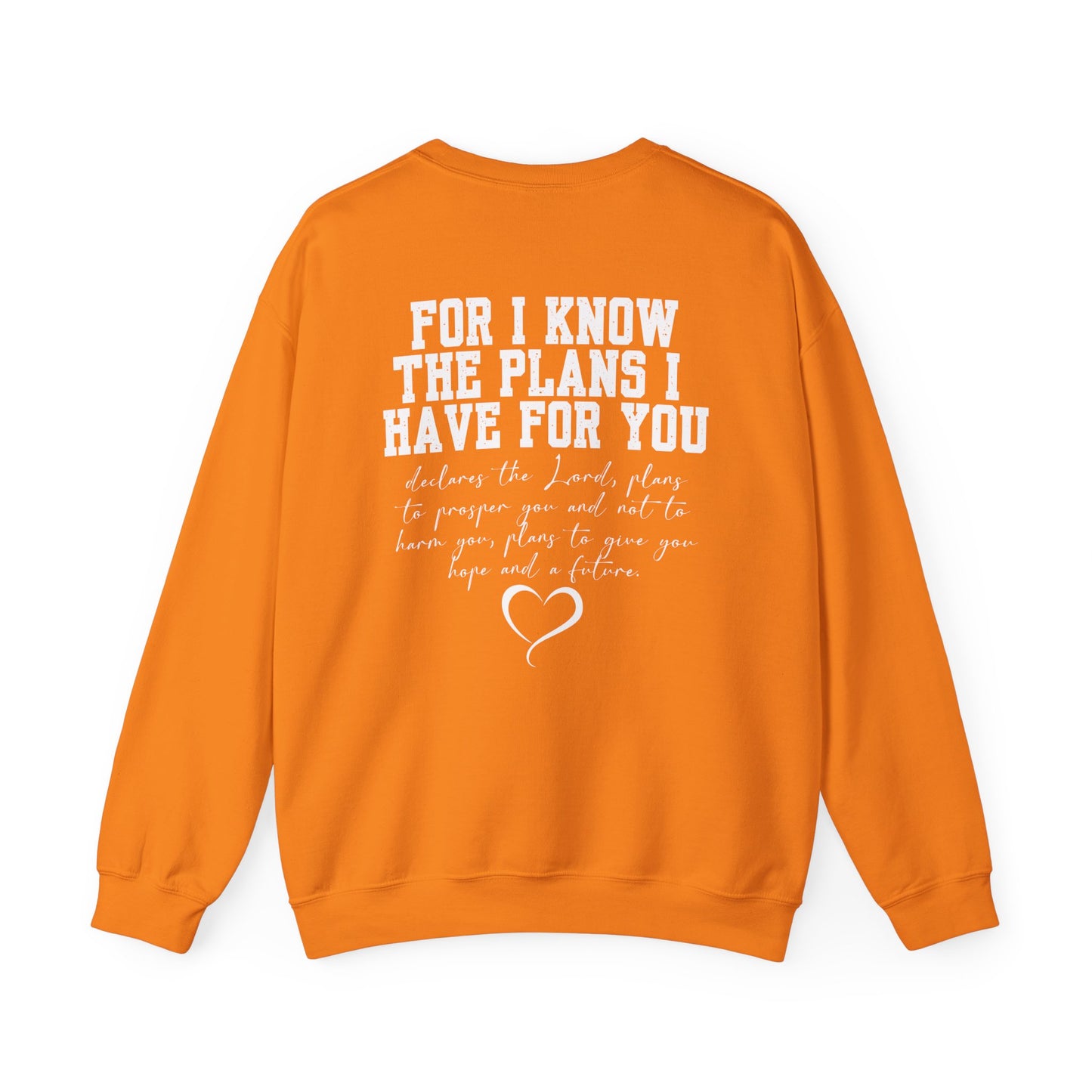 Jeremiah 29:11 Unisex Crewneck