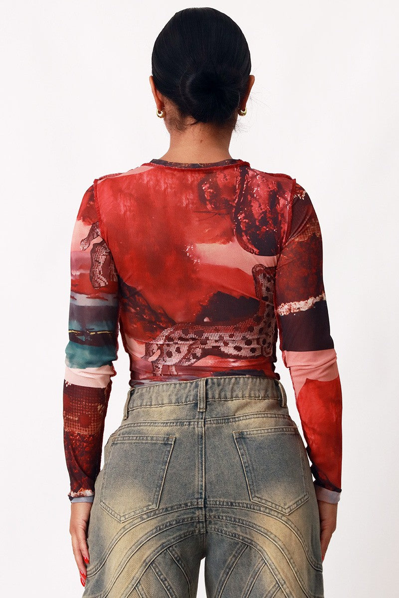 All Over Graphic Sheer Mesh Long Sleeve Top