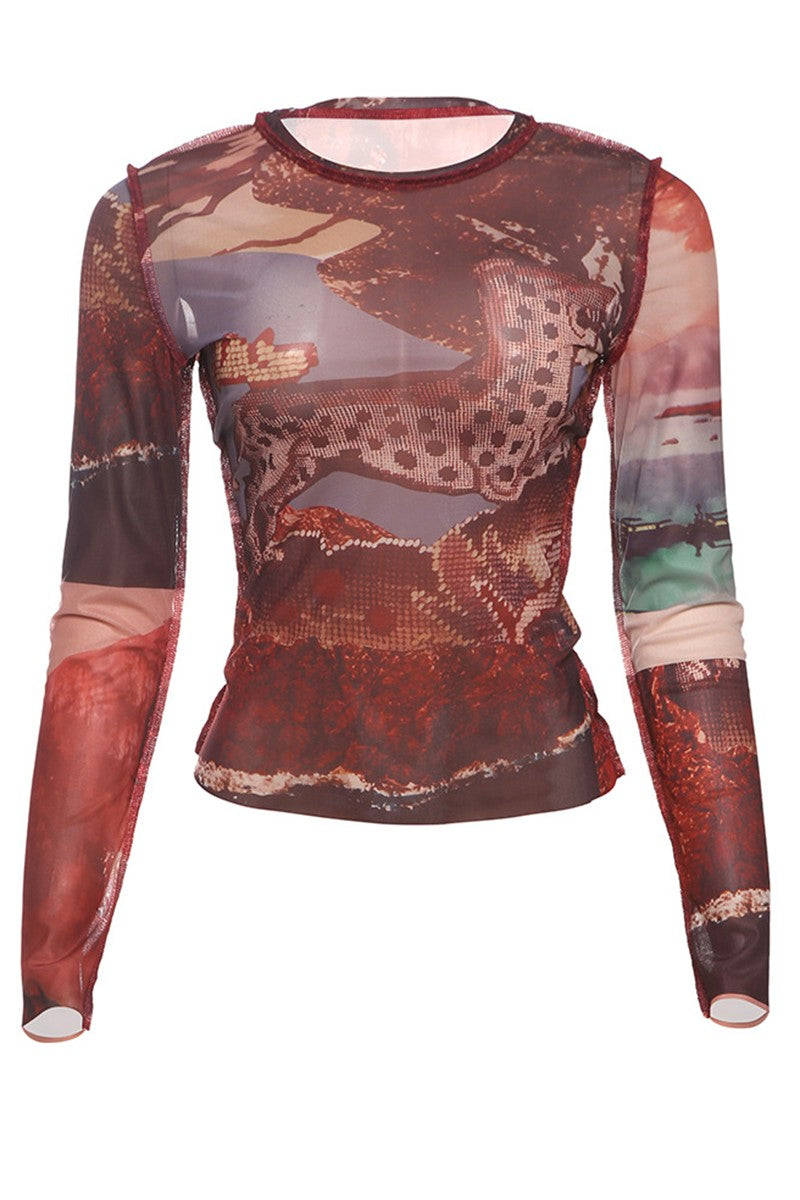 All Over Graphic Sheer Mesh Long Sleeve Top